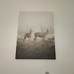 Large Center * روفانييمي