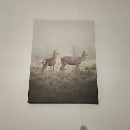 Large Center * Rovaniemi