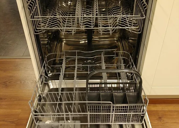 Large Center דירה רובניימי