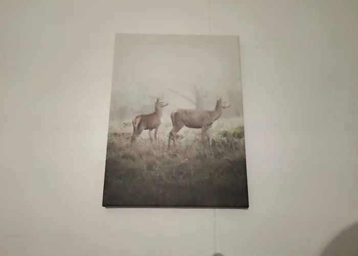 Large Center * רובניימי